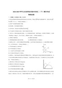 2024-2025学年山东省青岛市胶州市高二（下）期末物理试卷（含解析）