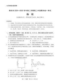 广东肇庆2024-2025学年高二下学期期末考试物理试题（含答案）