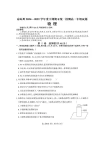 四川省凉山州2024-2025学年高二下学期期末考试物理试题（PDF版附答案）