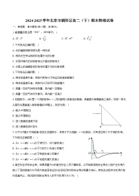 2024-2025学年北京市朝阳区高二（下）期末物理试卷（含解析）