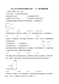 2024-2025学年河北省唐山市高一（下）期末物理试卷（含答案）