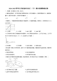 2024-2025学年江苏省扬州市高二（下）期末检测物理试卷（含解析）