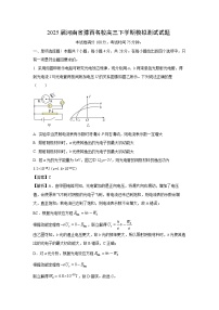 2025届河南省豫西名校高三下学期模拟测试物理试题（解析版）