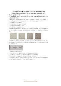 2024～2025学年广东实验中学高一上期末考试物理试卷(含答案)