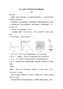 河南省濮阳市2024-2025学年高二下学期6月期末学业质量监测物理试题（解析版）