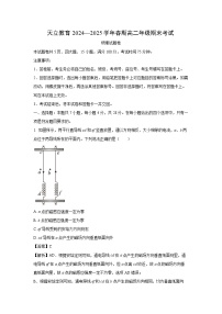 河南省天立教育2024-2025学年高二下学期7月期末物理试题（解析版）
