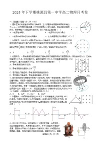 湖南省常德市桃源县第一中学2024-2025学年高二下学期月考物理试题（含解析）