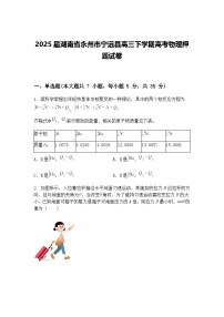 2025届湖南省永州市宁远县高三下学期高考物理押题试卷（含答案解析）