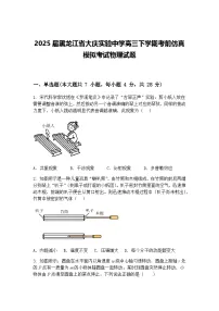 2025届黑龙江省大庆实验中学高三下学期考前仿真模拟考试物理试题（含答案解析）