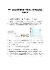 2025届安徽省淮北市第一中学高三下学期模拟预测物理试题（含答案解析）