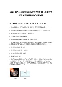 2025届吉林省长春市东北师范大学附属中学高三下学期第五次模拟考试物理试题（含答案解析）