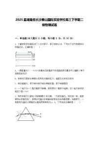 2025届湖南省长沙麓山国际实验学校高三下学期二模物理试题（含答案解析）