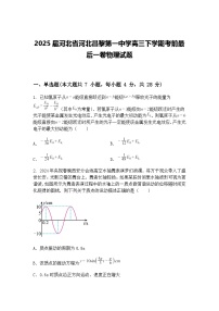 2025届河北省河北昌黎第一中学高三下学期考前最后一卷物理试题（含答案解析）