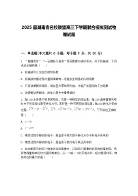 2025届湖南省名校联盟高三下学期联合模拟测试物理试题（含答案解析）