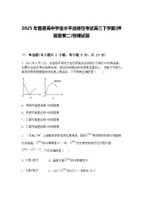2025年普通高中学业水平选择性考试高三下学期(押题密卷二)物理试题（含答案解析）