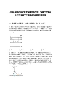 2025届陕西省安康市安康高新中学、安康中学高新分校联考高三下学期模拟预测物理试题（含答案解析）