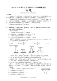 四川省成都市蓉城名校联盟2024-2025学年高一下学期期末考试物理试卷+答案