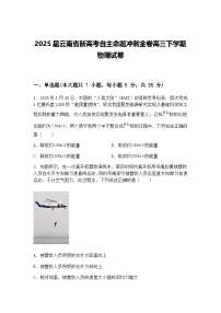 2025届云南省新高考自主命题冲刺金卷高三下学期物理试卷（含答案解析）
