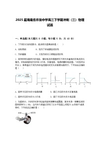 2025届海南省农垦中学高三下学期冲刺（三）物理试题（含答案解析）