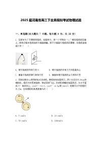 2025届河南省高三下全真模拟考试物理试题（含答案解析）