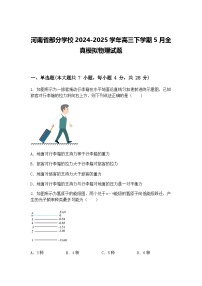 河南省部分学校2024-2025学年高三下学期5月全真模拟物理试题（含答案解析）