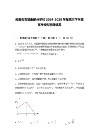 云南省玉溪市部分学校2024-2025学年高三下学期高考模拟物理试题（含答案解析）