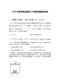 2025年高考湖北卷高三下学期物理模拟试卷（含答案解析）