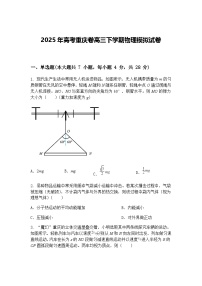 2025年高考重庆卷高三下学期物理模拟试卷（含答案解析）