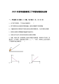 2025年高考湖南卷高三下学期物理模拟试卷（含答案解析）