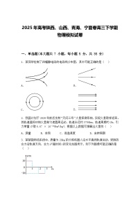 2025年高考陕西、山西、青海、宁夏卷高三下学期物理模拟试卷（含答案解析）