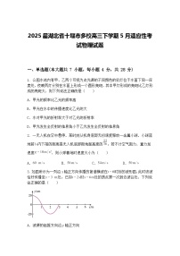 2025届湖北省十堰市多校高三下学期5月适应性考试物理试题（含答案解析）