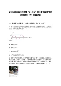 2025届西南名校联盟“3+3+3”高三下学期备考诊断性联考（四）物理试卷（含答案解析）
