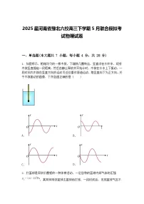 2025届河南省豫北六校高三下学期5月联合模拟考试物理试题（含答案解析）