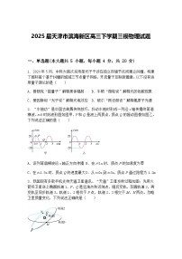 2025届天津市滨海新区高三下学期三模物理试题（含答案解析）