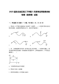 2025届东北地区高三下学期5月高考名师联席命制物理（信息卷）试题（含答案解析）