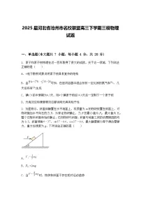 2025届河北省沧州市名校联盟高三下学期三模物理试题（含答案解析）