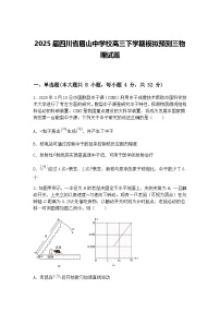 2025届四川省眉山中学校高三下学期模拟预测三物理试题（含答案解析）
