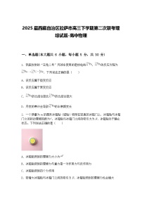 2025届西藏自治区拉萨市高三下学期第二次联考理综试题-高中物理（含答案解析）
