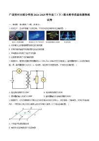 广西贺州市部分学校2024-2025学年高二（下）期末教学质量检测物理试卷【含答案】
