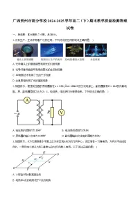 广西贺州市部分学校2024-2025学年高二（下）期末教学质量检测物理试卷【含答案】