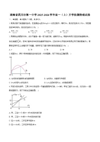 湖南省武冈市第一中学2025-2026学年高一（上）开学检测物理试卷【含答案】