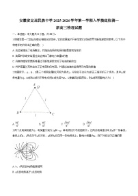 2026届安徽省定远民族中学上学期入学摸底检测新高三物理试题（含解析）