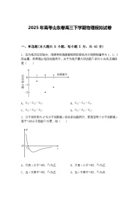 2025年高考山东卷高三下学期物理模拟试卷（含答案解析）