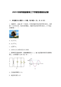 2025年高考福建卷高三下学期物理模拟试卷（含答案解析）
