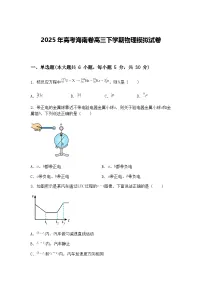 2025年高考海南卷高三下学期物理模拟试卷（含答案解析）