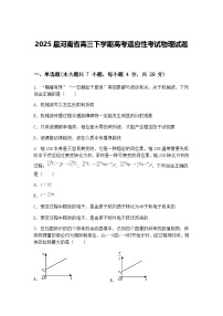 2025届河南省高三下学期高考适应性考试物理试题（含答案解析）