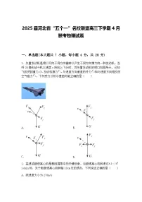 2025届河北省“五个一”名校联盟高三下学期4月联考物理试题（含答案解析）