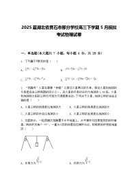 2025届湖北省黄石市部分学校高三下学期5月模拟考试物理试卷（含答案解析）