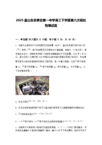 2025届山东省泰安第一中学高三下学期第六次模拟物理试题（含答案解析）