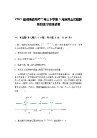 2025届湖南省湘潭市高三下学期5月底第五次模拟预测练习物理试卷（含答案解析）